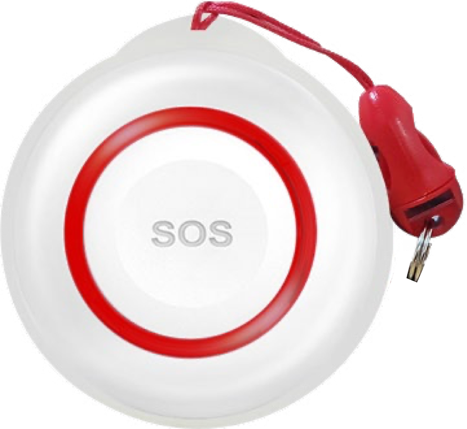 alarm button.png